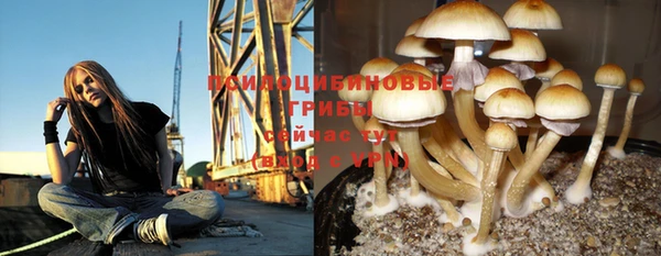 а пвп мука Беломорск