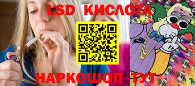 круглые Кингисепп